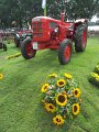 IMG_1854