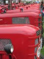 IMG_1901