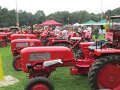 IMG_1907