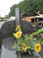 IMG_2005