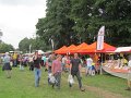 IMG_2113