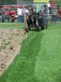 IMG_2350