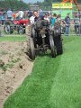 IMG_2351