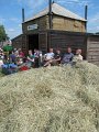 IMG_2377