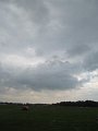 IMG_2681