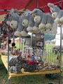 IMG_2781