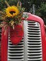 IMG_2868