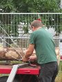 IMG_2899