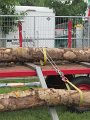 IMG_2904