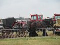IMG_2918
