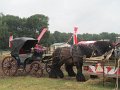 IMG_2919