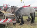 IMG_2920