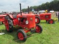 IMG_3231