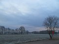 IMG_7438