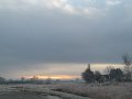 IMG_7453