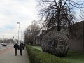 IMG_7484