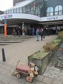 IMG_7488