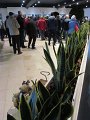 IMG_7500