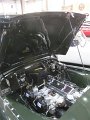IMG_7576