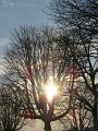 IMG_8380