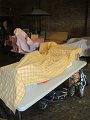 IMG_0050