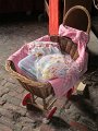 IMG_0053