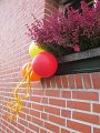 IMG_0055