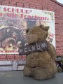 IMG_0095