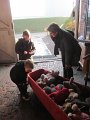 IMG_0113