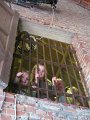 IMG_0125