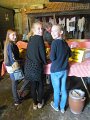 IMG_0141
