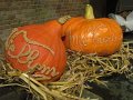 IMG_0223