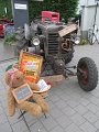 IMG_8739
