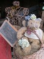 IMG_9868