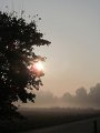 IMG_9906
