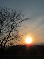 IMG_6372