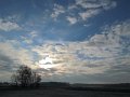 IMG_6408