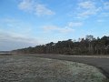 IMG_6417