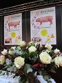 IMG_6630