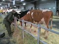 IMG_6729