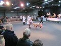 IMG_6844