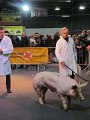 IMG_6846