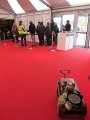IMG_6874