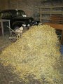 IMG_1201