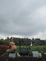IMG_1226