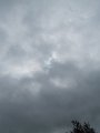 IMG_1233