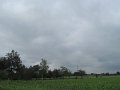 IMG_1234