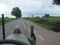 IMG_1237