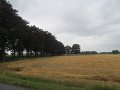 IMG_1239