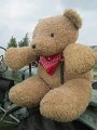 IMG_1284